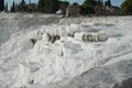 Pamukkale Travertine pools and terraces in Turkey Royalty Free Stock Photo