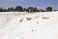 Pamukkale, Turkey. View of the white salt terraces. Royalty Free Stock Photo