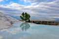 Pamukkale in Western Turkey taken in April 2019\r\n` taken in hdr