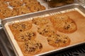 Pan of Baked Fresh Oatmeal Chocolate Chip Cookie