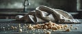 A pan of bread crumbs with a towel on the counter Royalty Free Stock Photo