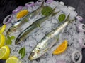 The pan cooking method is the most common.Horse mackerel is a species with thin teeth, large eyes, and a deeply forked and awned