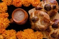 Pan de Muerto, mexican Sweet bread in Day of the Dead celebration in Mexico