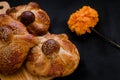 Pan de Muerto Mexico, Mexican sweet Bread during Day of the Dead festivities Royalty Free Stock Photo