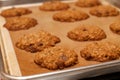 Pan of Fresh Baked Oatmeal Chocolate Chip Cookie Row