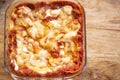 A pan of freshly baked lasagna Royalty Free Stock Photo