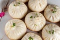 Pan-Fried Baozi Royalty Free Stock Photo