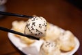 Pan-fried buns with stuffed pork Royalty Free Stock Photo