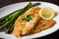 Pan-fried catfish fillets with a buttery lemon sauce and a side of garlicky roasted asparagus Royalty Free Stock Photo