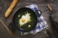 Pan with fried egg and spinach Royalty Free Stock Photo