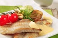 Pan fried fish fillets Royalty Free Stock Photo