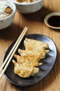 Pan-fried gyoza with dipping sauce