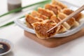 Pan-fried gyoza dumpling jiaozi in a plate with soy sauce on white table background