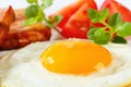 Pan-fried Leberkase with fried egg Royalty Free Stock Photo