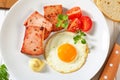 Pan-fried Leberkase with sunny side up fried egg Royalty Free Stock Photo