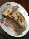 Pan-fried Moray eels fillets