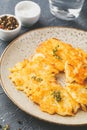 Pan-fried potato pancakes - rosti, kartoffelpuffer, latkes, draniki, hash browns Royalty Free Stock Photo