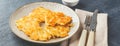 Pan-fried potato pancakes - rosti, kartoffelpuffer, latkes, draniki, hash browns Royalty Free Stock Photo