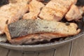 Pan fried salmon fillets Royalty Free Stock Photo