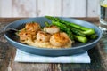 Pan-fried scallops Royalty Free Stock Photo