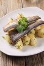 Pan fried trout fillets with potatoes Royalty Free Stock Photo