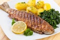 Pan Fried Trout