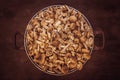 Pan full of mushroom Armillariella mellea. Harvest of autumn mushrooms. harvest fresh wild mushrooms. Armillaria autumn Royalty Free Stock Photo