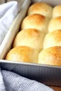 Homemade Dinner Rolls Royalty Free Stock Photo