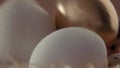 Pan movemet closeup eggs