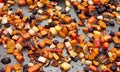 Pan Roasted Root Vegetables Royalty Free Stock Photo