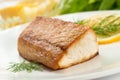 Pan Seared Fish Royalty Free Stock Photo