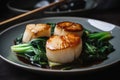 pan-seared scallops with bok choy and chinese black vinegar sauce Royalty Free Stock Photo