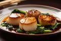 pan-seared scallops with bok choy and chinese black vinegar sauce Royalty Free Stock Photo