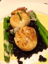 Scallops in black rice Royalty Free Stock Photo
