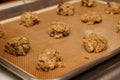 Pan of Uncooked Prepared Oatmeal Chocolate Chip Cookie