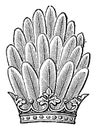 Panache as a crest vintage engraving Royalty Free Stock Photo