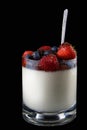 Panakota creamy Italian dessert in a glass cup with berries and a spoon