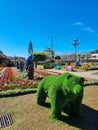 Panama, Boquete, bear shaped hedge