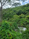 Panama, Boquete, Caldera jungle river Royalty Free Stock Photo