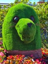 Panama, Boquete, seal head shaped hedge at flower fair