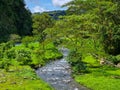 Panama, Boquete town, Caldera creek. Jungle landscape Royalty Free Stock Photo