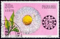 PANAMA - CIRCA 1966: A stamp printed in Panama shows Double Daisy (Bellis perennis), circa 1966.