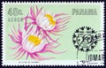 PANAMA - CIRCA 1966: A stamp printed in Panama shows Selenicereus grandiflorus