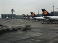Panama, 28-11-2019: A large line with seven lufthansa airplanes waiting at the airport on a cloudy day