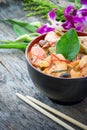 Panang chicken curry Royalty Free Stock Photo