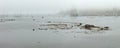 Panarama of Belfast With Tall Ship