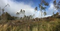 Panarama of highlands of Scotland