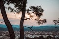 Panarama of Manavgat city, Turkey at sunset. View from the observation deck through the pine trees