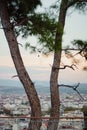 Panarama of Manavgat city, Turkey at sunset. View from the observation deck through the pine trees