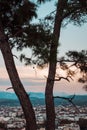 Panarama of Manavgat city, Turkey at sunset. View from the observation deck through the pine trees